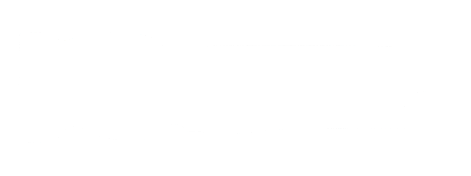 Neumann Concepts Logo